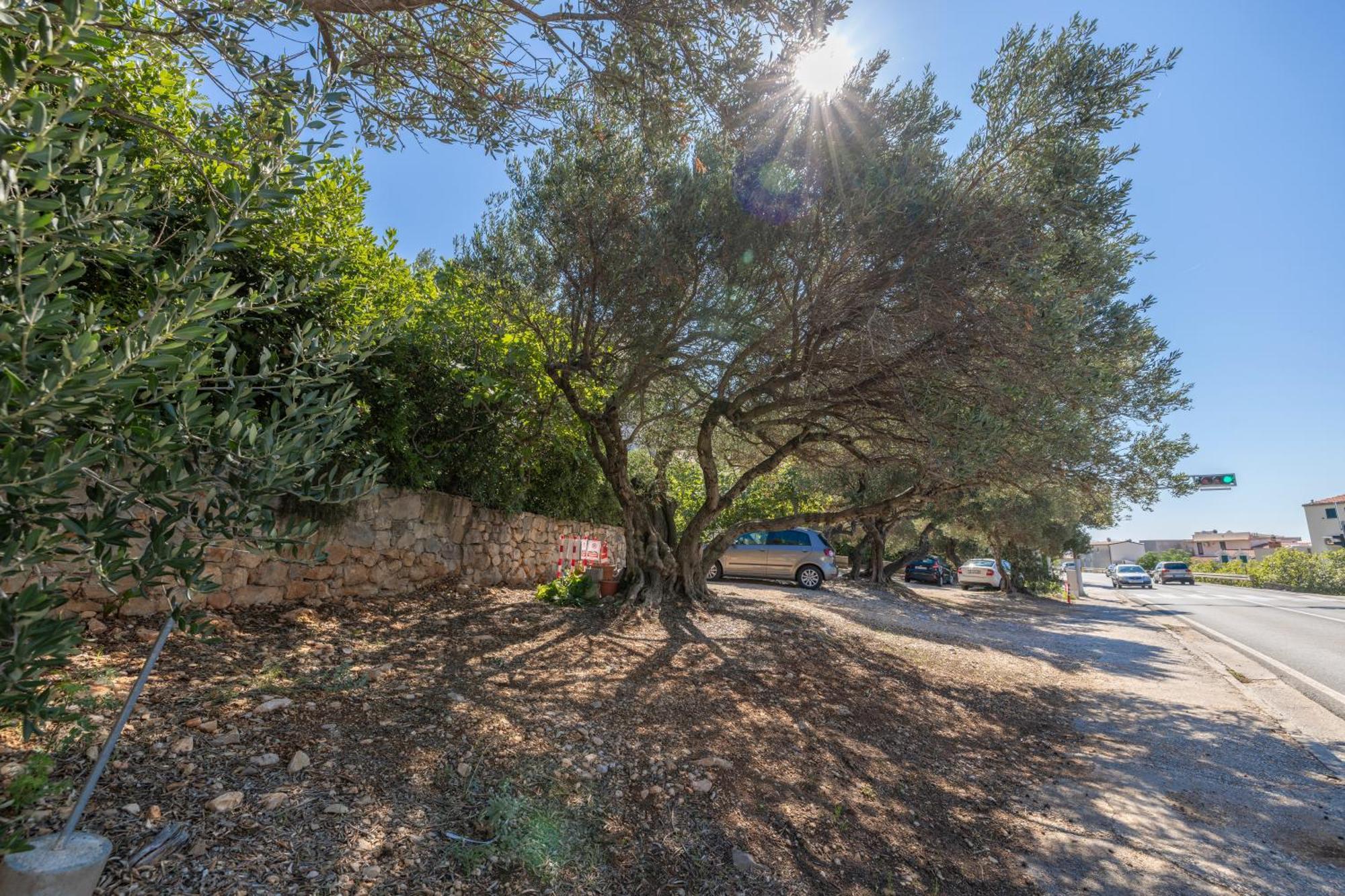 Apartmani Marta Tučepi Exteriér fotografie