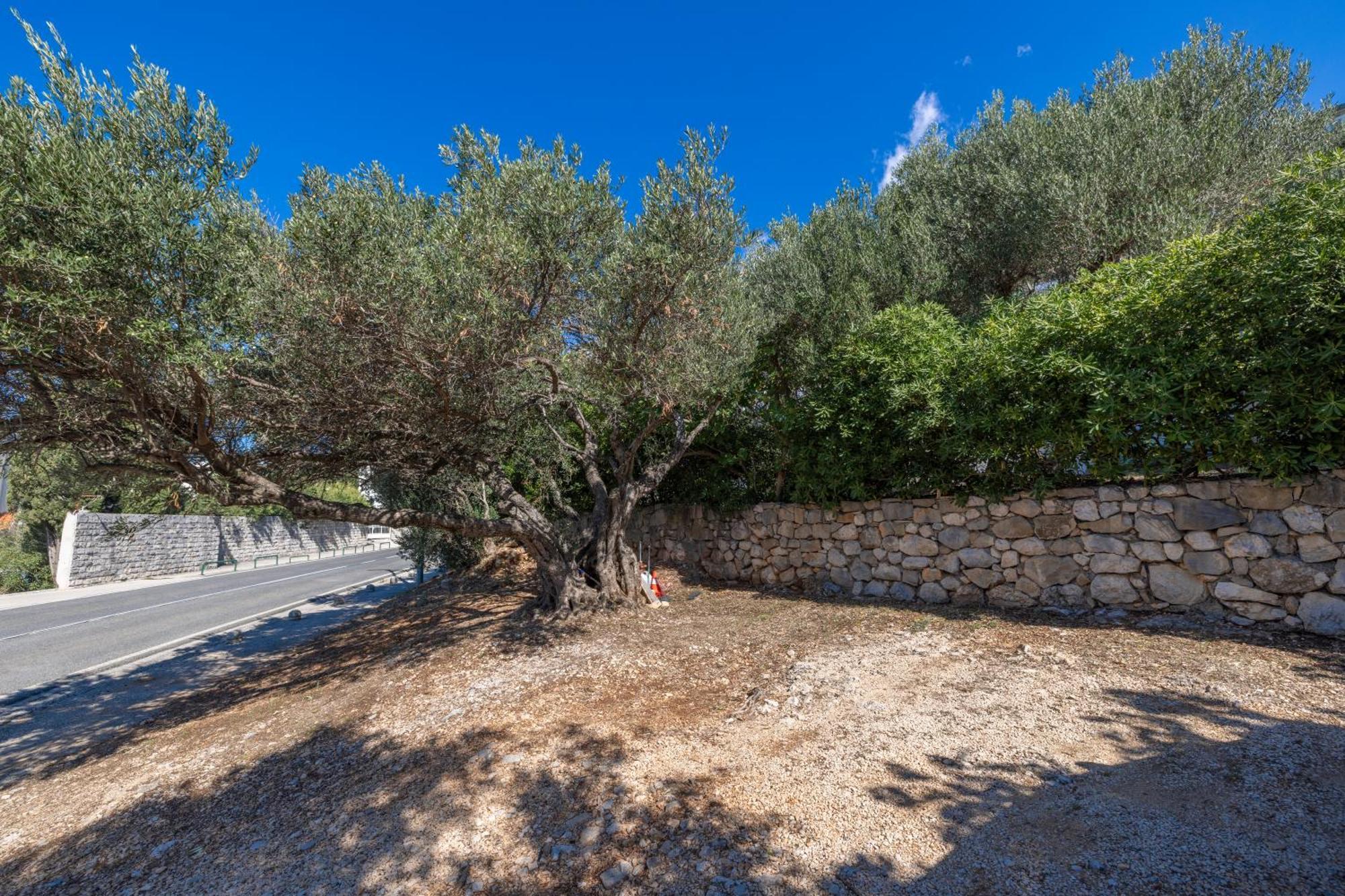 Apartmani Marta Tučepi Exteriér fotografie