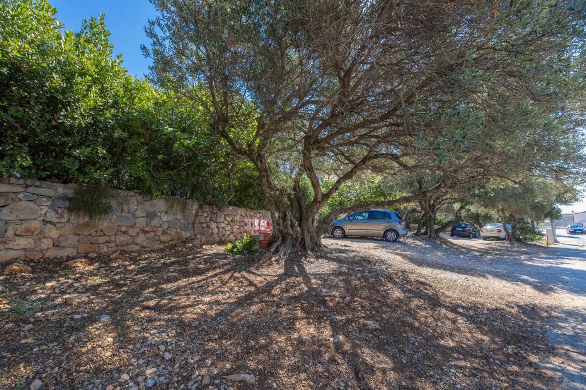 Apartmani Marta Tučepi Exteriér fotografie